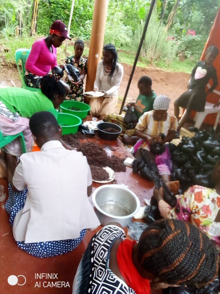 Economic Empowerment